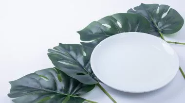 plating-instructions-image